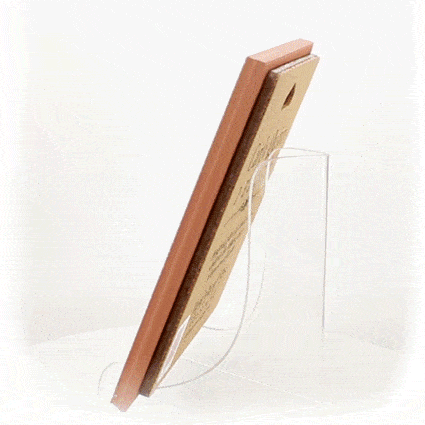 Carly Quinn Frank Lloyd Wright Whirling Arrow Ceramic Art Tile Trivet