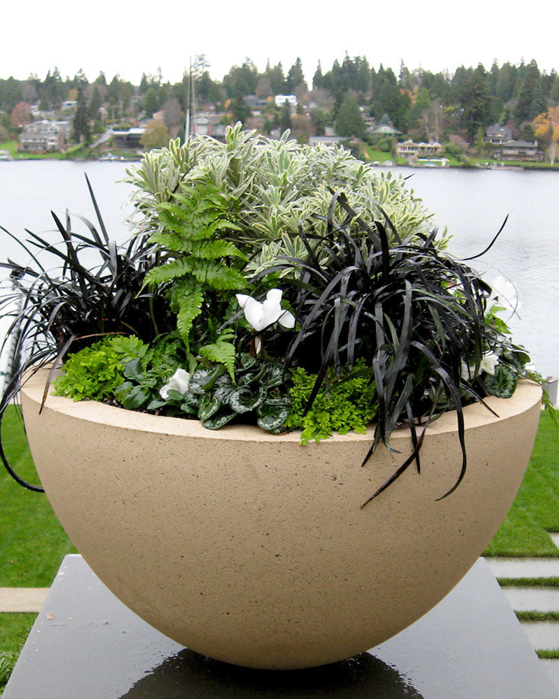 bowl pots for plants Ragen Bowl Planter Vase